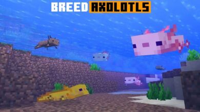 How to find eco-friendly hotels for vacation