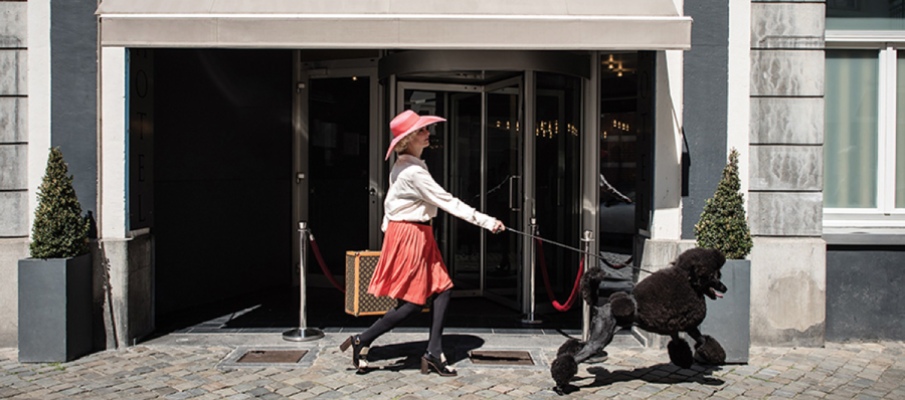 What defines a hotel as being pet friendly