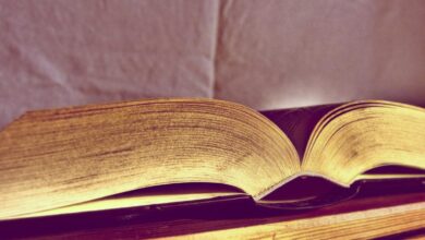 Free picture: library storage, vintage books, bookshelf