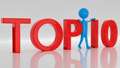 What are the top pet-friendly hotels in the city